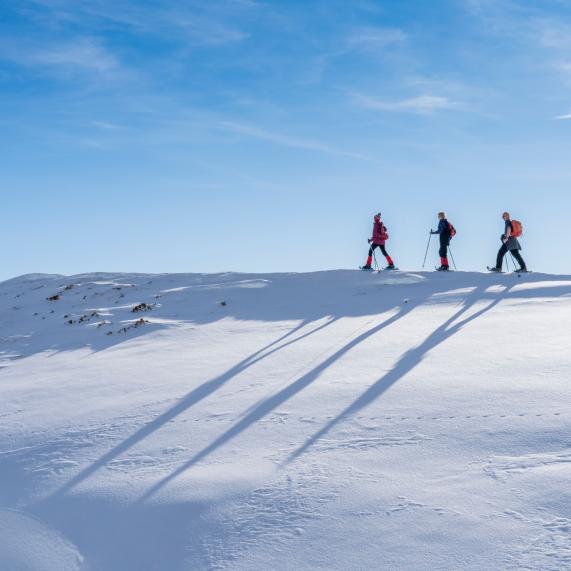 Snow rackets
